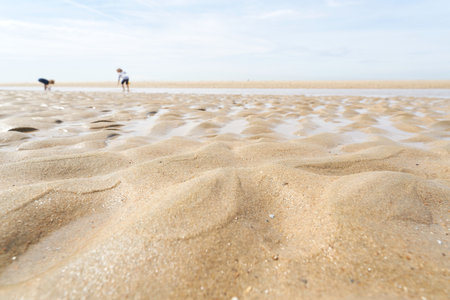 Sand on the beach at De Haan on the Belgian North Sea coast at low tideの写真素材