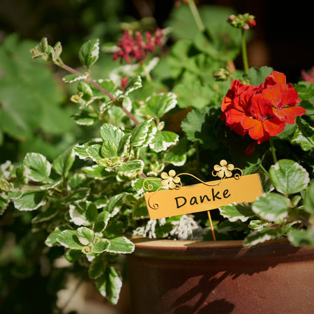 Flowers as a gift with a sign with the German inscription thank you. Translation: Thank youの写真素材
