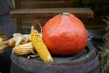 Autumnal decorations at a Thanksgiving festival in Germanyの写真素材