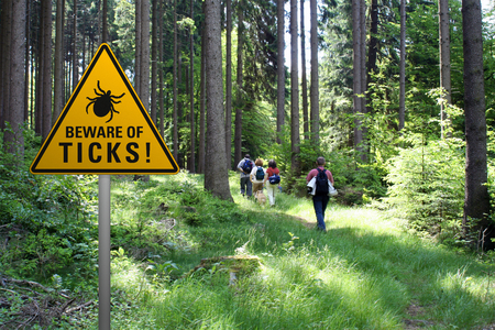 Warning sign beware of ticks in infested area in the green forest with walkersの写真素材