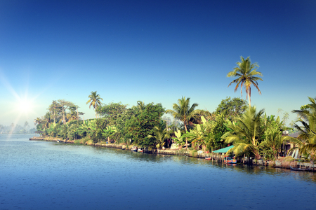 sunrise at backwaters landscape with swaying coconut trees and traditional house boats in Alleppey, Kerala, Indiaの写真素材
