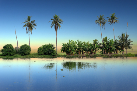 panoramic view with Coconut trees, backwaters landscape of Alleppey, Kerala, Indiaの写真素材