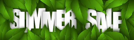 Summer sale background with green leaves and white text. Template design for posters, flyers, brochures, banners. Vector illustration.のイラスト素材