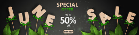 June sale Special offer. Wooden letters on sticks with beautiful green bows and summer leaves on a black background. Decorative ornaments. Vector illustration.の写真素材
