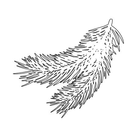 Coniferous twigs. Contour of pine or spruce branches isolated on white background. Vector illustration.のイラスト素材