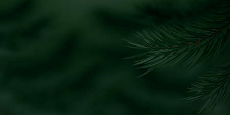 Coniferous twigs closeup. Dark nature background. Realistic looking pine or spruce branches on blurred background. Lush vegetation in a coniferous forest. Copy space. Vector illustration.のイラスト素材