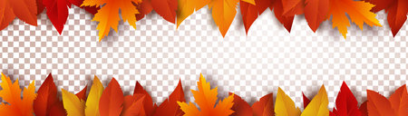 Realistic yellow, red, orange leaves cast a beautiful shadow. Isolated autumn foliage on a transparent background. Vector illustrationのイラスト素材