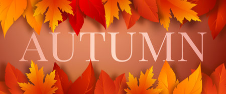 Autumn season banner template with red, yellow, orange autumn leaves on a brown background. Design for greeting card, advertising, web banner, flyer. Vector illustration.のイラスト素材