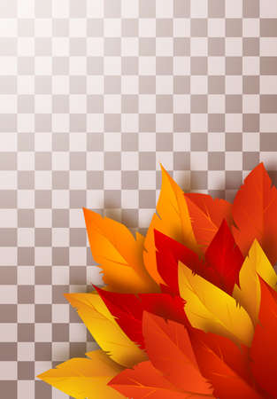 Realistic yellow, red, orange leaves cast a beautiful shadow. Isolated autumn foliage on a transparent background. Vector illustrationのイラスト素材