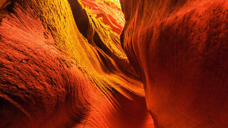 Grand Canyon Oasis scenery viewの写真素材