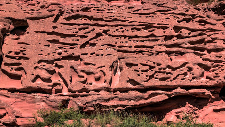 The nature scenery view at the side of the Yellow Riverの写真素材