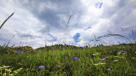 The situation in Luya Mountainの写真素材