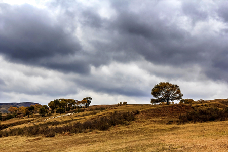 Nature landscape scenery view of a prairie in Youyu county at the northwestern of Shanxi during Autumnの写真素材