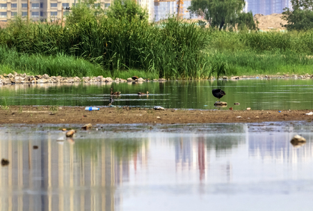 Jinyang Lake  sceneryの写真素材