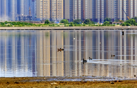 Jinyang Lake  sceneryの写真素材