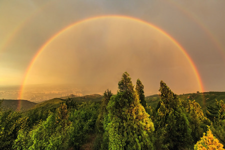 rainbows in the rainの写真素材