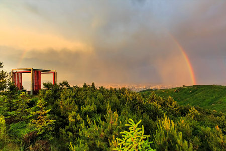 rainbows after rainの写真素材