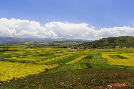 Natural scenery of Menyuan Hui Autonomous County, Haibei Tibetan Autonomous Prefecture, Qinghai, Chinaの写真素材