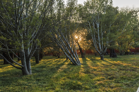 Asia China Beijing Tiantan Park sceneryのeditorial素材
