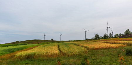 Zhangbei Bashang Grassland, Grassland Tianlu Natural Scenery