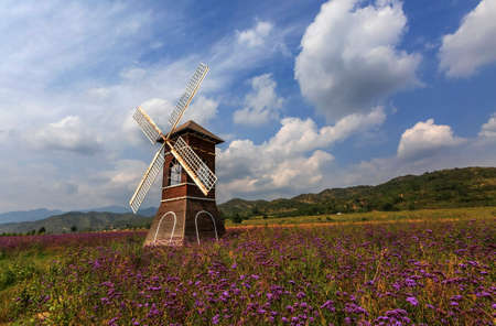 Meet the Lavender Manor Pangquangou in Jiaocheng, Shanxi, Chinaの写真素材