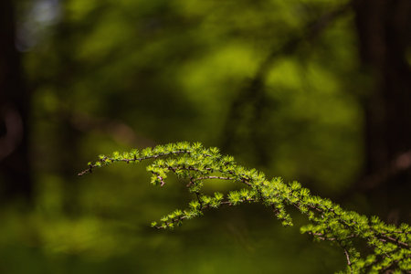 Natural scenery of Qiliyu, Huozhou, Shanxi, China