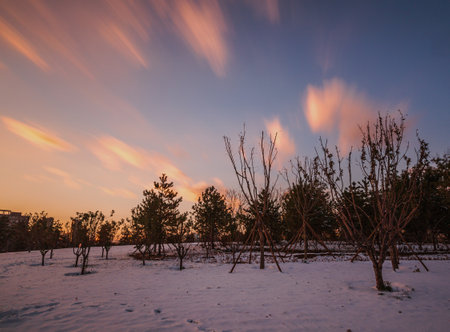 Scenery of Early Snow in Twin Towers Park, Taiyuan, Shanxi, Chinaの写真素材
