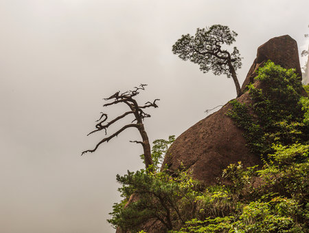 Scenery of Sanqing Mountain in Shangrao, Jiangxi, Chinaの写真素材