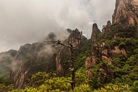 Scenery of Sanqing Mountain in Shangrao, Jiangxi, Chinaの写真素材