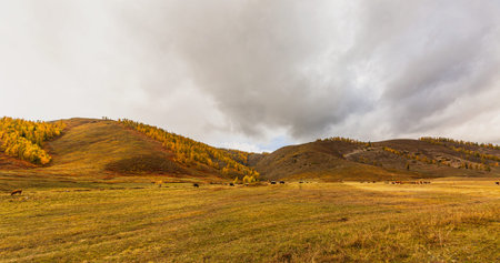 Scenery of Baihaba in Kanas Scenic Area, Altay, Xinjiang, China