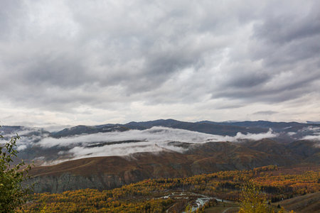 Autumn in the mountains of the Altai Republic, Russia.の写真素材