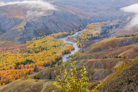 Autumn mountain landscape with river in the valley. Siberia, Russiaの写真素材