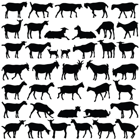 Goat collection - vector silhouetteのイラスト素材