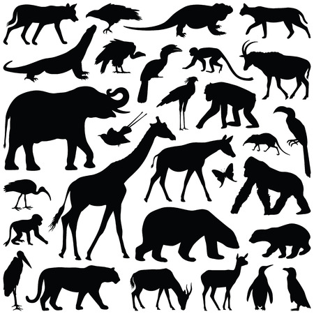 Zoo animals collection - vector silhouetteのイラスト素材