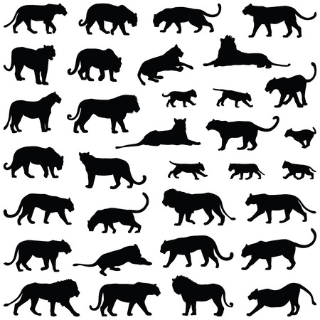 Big cat collection - vector silhouetteのイラスト素材