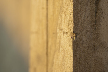 Texture shot of the surface of a wall, spilt in half vertically by light and shadow details