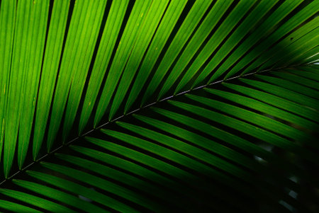 leaf texture