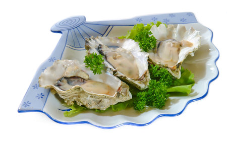 oysters on a white background