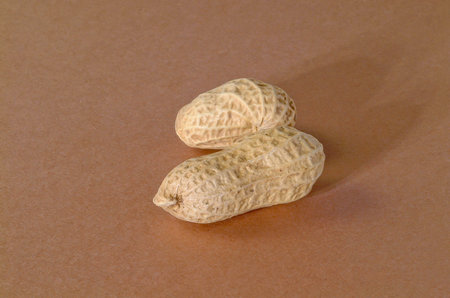 peanuts