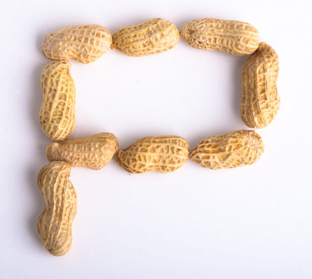 nuts on the white isolated backgroundの写真素材