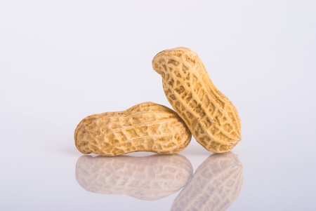 nuts on the white isolated backgroundの写真素材