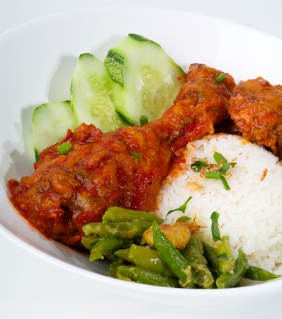 Curry Chicken with rice malaysia foodの写真素材