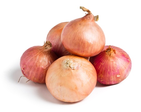 Onion  red onion on the backgroundの写真素材
