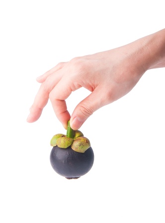 mangosteen fruit in hand on the background.の写真素材