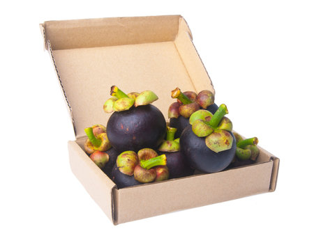 Mangosteen fruit. flesh queen of fruits.の写真素材