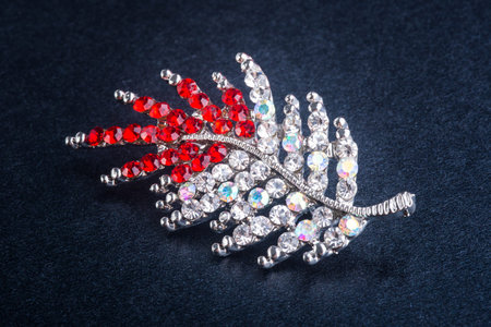 brooch. brooch on the background.
