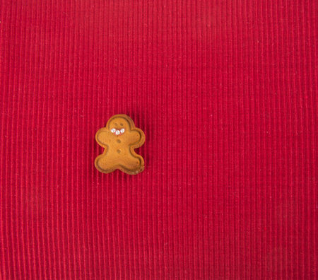 X\'mas Cookie on red background 
