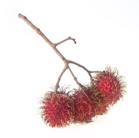 rambutan on the background. rambutan on the background.の写真素材