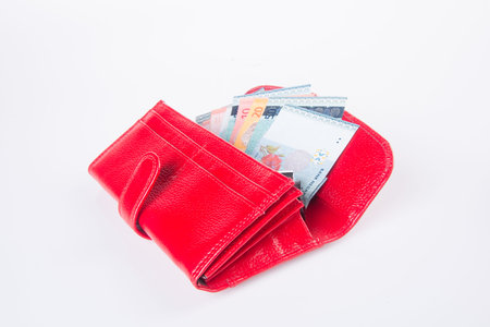 wallet. woman wallet with money on background