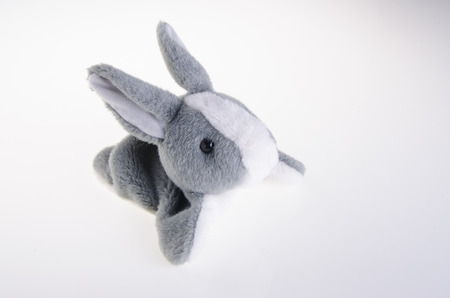 cute rabbit baby soft toyの写真素材